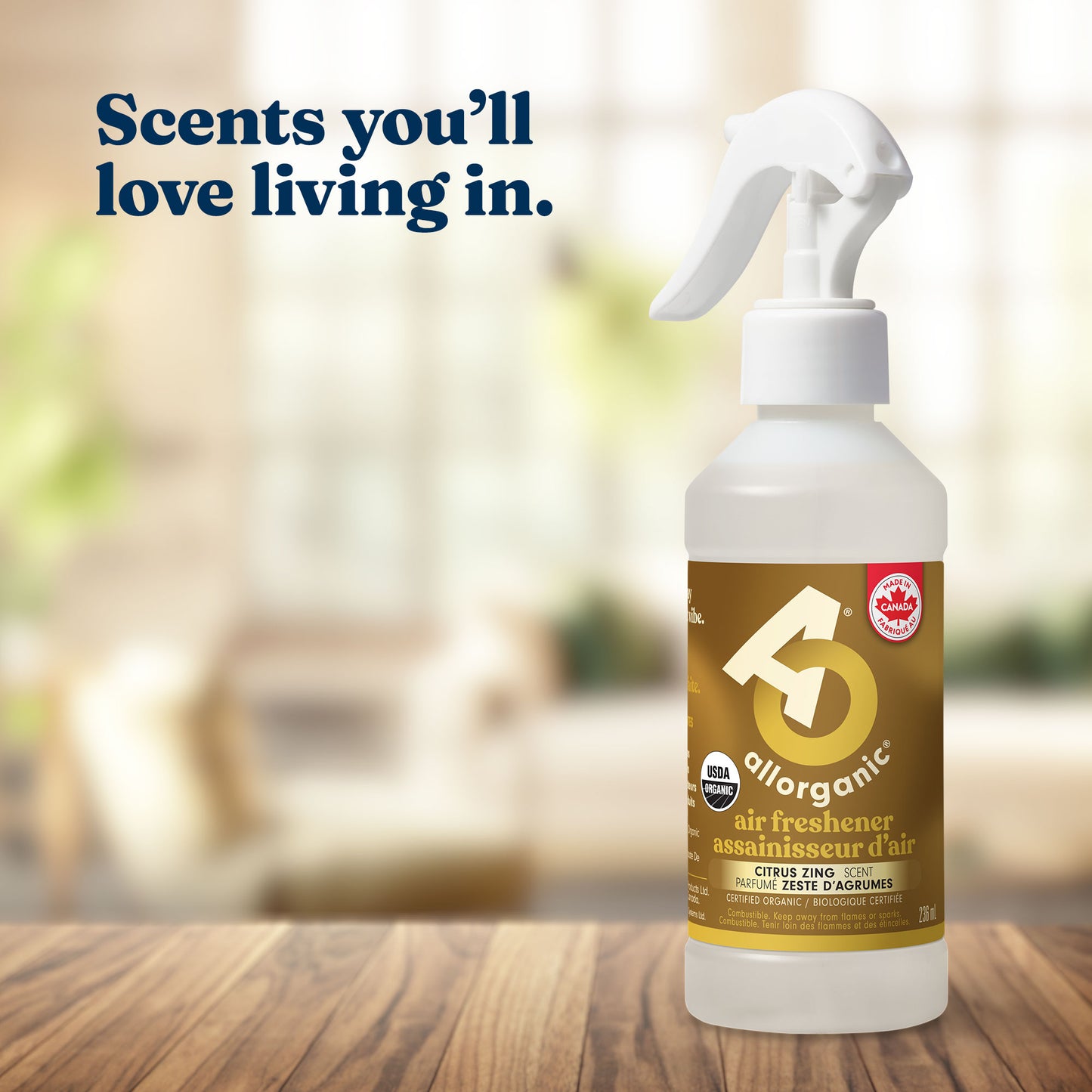 Air Freshener (Citrus Zing)