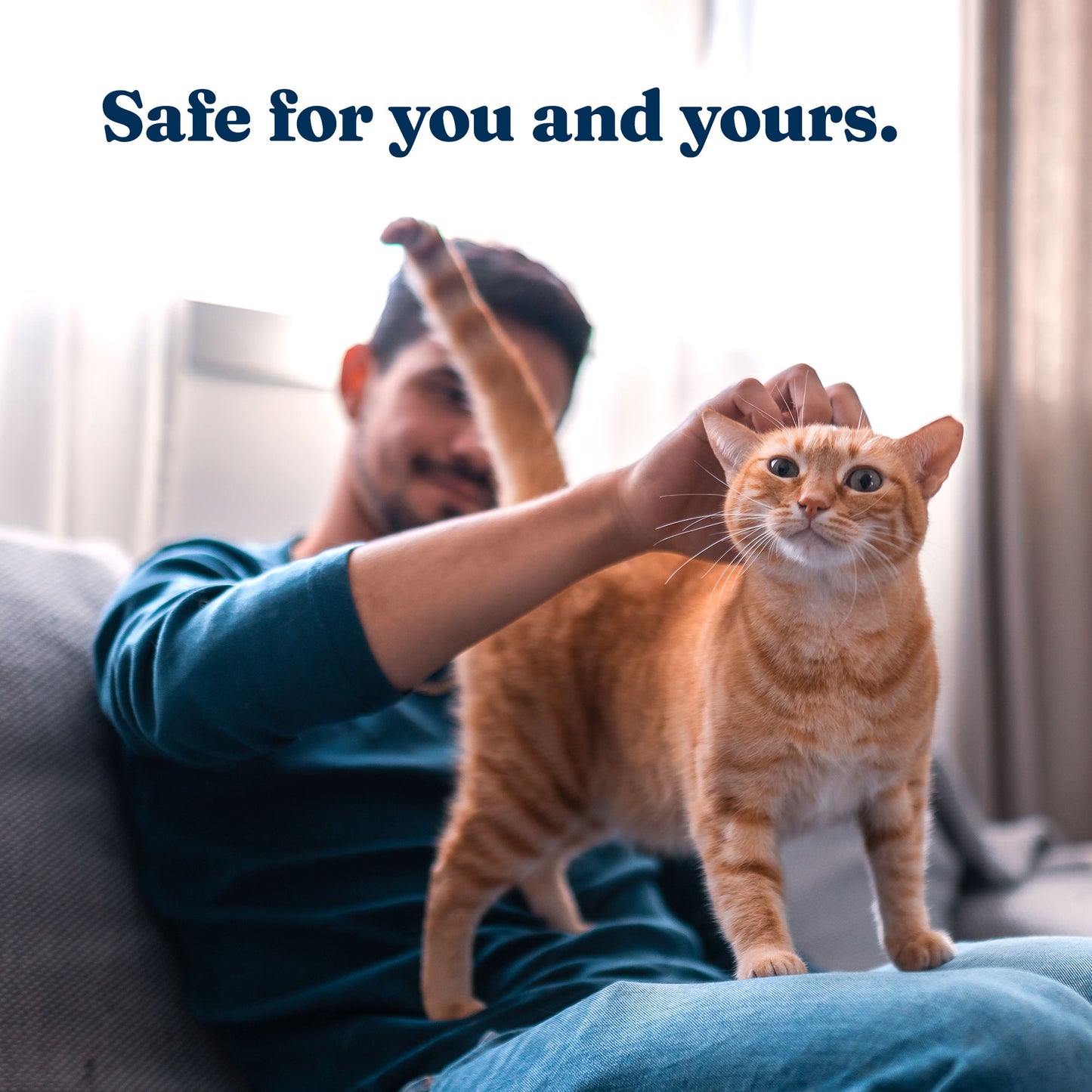 Air Freshener (Tofino Breeze)