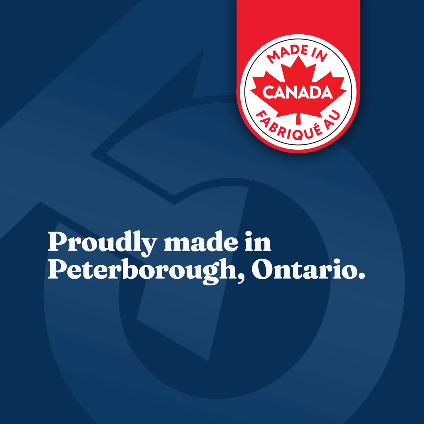 Laundry Detergent (Unscented)