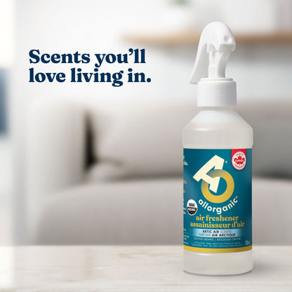 Air Freshener (Arctic Air)