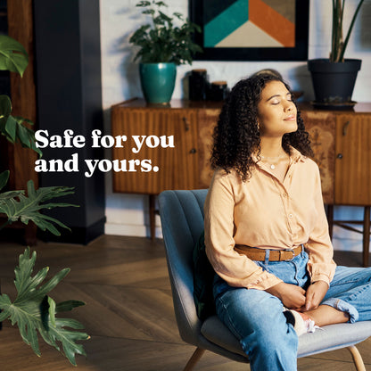 Air Freshener (Citrus Zing)